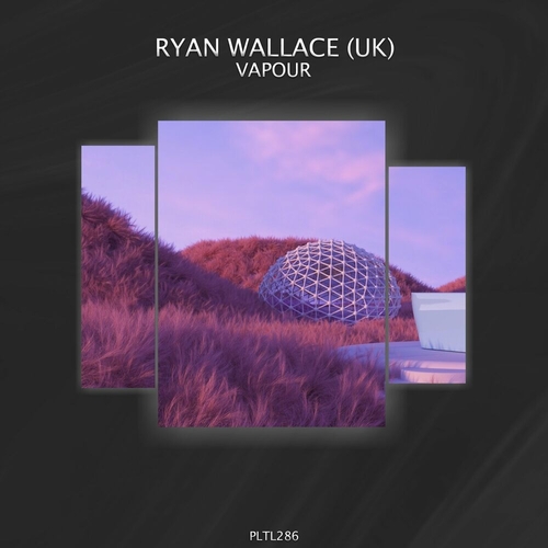 Ryan Wallace (UK) & Rey D - Vapour [PLTL286]